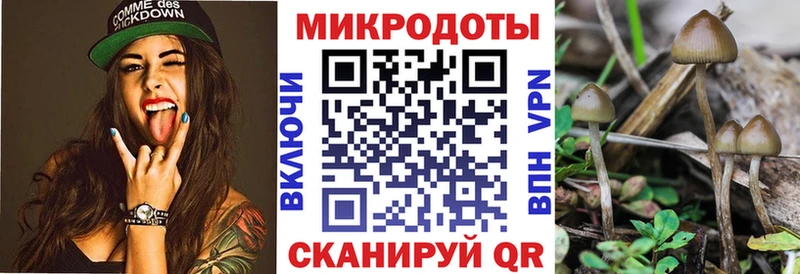 кракен ONION  Учалы  Псилоцибиновые грибы Psilocybine cubensis  купить наркотик 